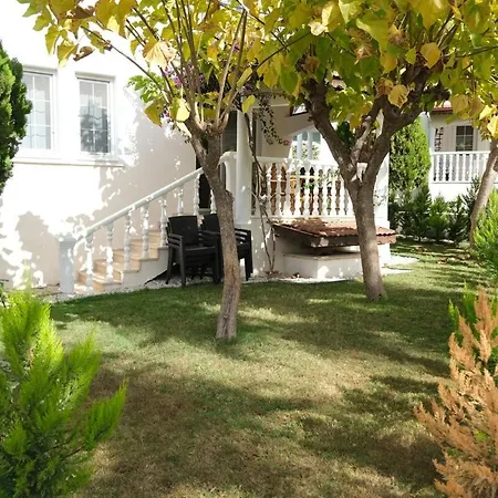 Begonvil, Oludeniz Fethiye